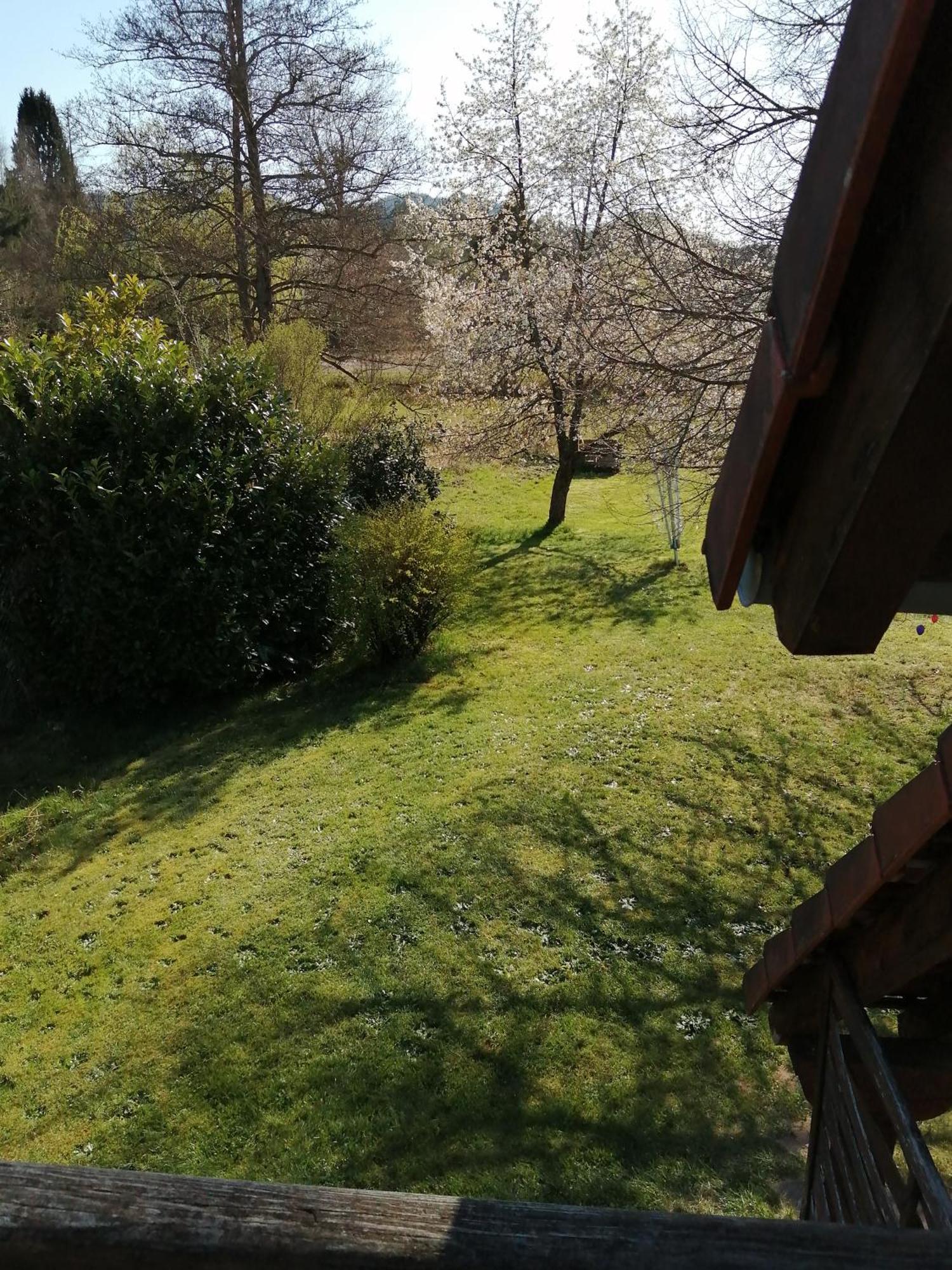 Gite 1 Etage Dambach Exterior photo